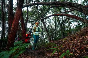 BIB: 
                            <button type="button" onclick="openModal(26346376)" class="btn btn-primary btn-sm float-right btn-popup" data-toggle="modal" data-target=".modal-high-quality">
                        <i class="fas fa-shopping-cart"></i> Add to Cart
                    </button>
                                            <button type="button" onclick="isThisMe(26346376, true)" class="btn btn-success btn-sm float-right btn-popup btn-isme hidden" data-toggle="tooltip" data-placement="bottom" title="นี่คือรูปของคุณใช่ไหม คลิกที่นี่เพื่อเอาเข้าอัลบั้ม">
                        <i class="fas fa-plus"></i> Add to album
                    </button>
                    <button type="button" onclick="isThisMe(26346376, false)" class="btn btn-warning btn-sm float-right btn-popup btn-isnotme hidden">
                        <i class="fas fa-ban"></i> Remove from album
                    </button>